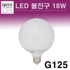 지니 LED 볼전구 18W 주광색 전구색, 1개