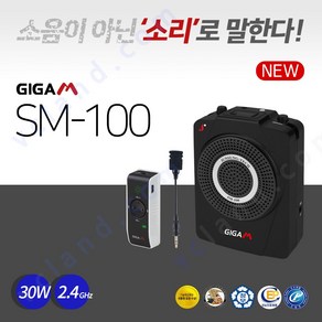 준성기가폰 SM-100 30W 강의용 무선마이크 앰프 기가엠 선생님마이크, 기가엠 SM-100