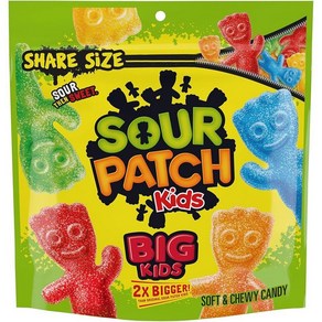 SOUR PATCH KIDS 젤리 99g 3.5oz 12개입 총1.2kg 135198, 시큼한, 12 Ounce (Pack of 1), 12개