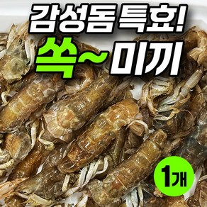 감성돔 특효미끼 쏙 미끼 돌돔 놀래미 우럭 참돔 장어 원투낚시 대체미끼 새우미끼 낚시미끼, 1개, 60g