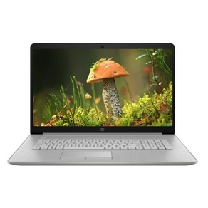 HP 노트북 17s, 17S-cu0017TU, Fee DOS, 4GB, 256GB, 코어i3, 네추럴 실버