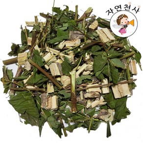 국내 자연산 광대싸리300g 잎 줄기 가지, 300g, 1개