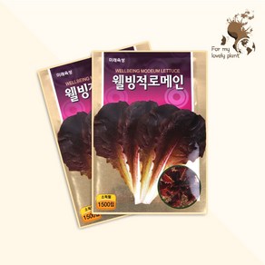 웰빙적로메인 1500립 미래종묘 잎채소류 씨앗, 1개