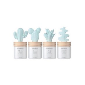 라운드어라운드 선인장 디퓨저 100ml 4종 택1, 07피쉬본 선인장