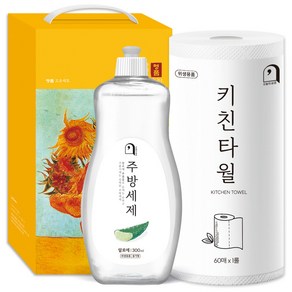 오늘의쉼표 세제 선물세트 답례품 알로에 34호 (주방세제 용기 300ml + 키친타월), 1개