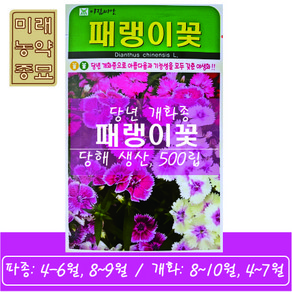 패랭이꽃 씨앗 500립 - 당년 개화종 화단 정원 골프장 공원 관상용, 1개