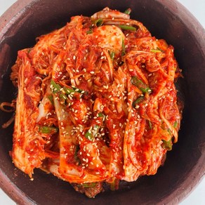 전주 항아리 김치 실비김치 핑크솔트로 담근 국산 겉절이 배추 알배기 매운맛