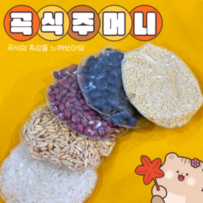 완제품교구 (곡식주머니 6종) 어린이집 유치원 곡식관찰 감각탐색교구 촉감교구 평가인증 환경구성