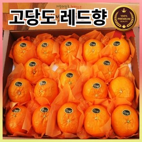 시즌앤홈 제주 고당도 산지직송 프리미엄 레드향 3kg 5kg 제주도 과일 명절 설날 선물 세트, 레드향 가정용 3kg, 1박스, (7-16과)