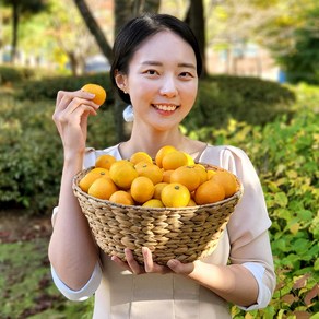 [공자매] 프리미엄 제주 고당도 황금 감귤, 5kg (로얄과, ss s m l), 1박스