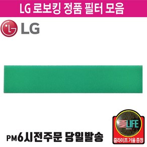 LG 정품 로보킹 로봇 청소기 헤파 필터 물걸레 (즐라이프 거울 증정), 1개, 1.스펀지필터5402