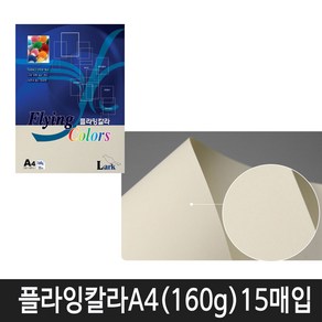 삼원특수지 칼라복사지 플라잉칼라 A4(160g) 15매입 1속, 1개, L1. 상아색