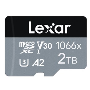 LEXAR 1066X 2TB U3 A2 V30 Mico Cad SDXC Class 10 메모리 카드 플래시 Micosd TF Mini 카드 2T, 1개