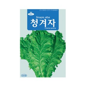 (CN) 청겨자 씨앗 (2000립)