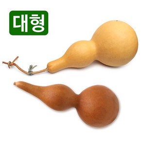 천연 통조롱박 대형 (통박 표주박 호롱박 전통장식 공예품, 대형둘레24-27x길이14-17cm