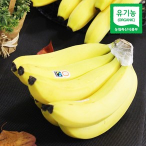 [자연마을] 유기농 인증 다이어트 과일 바나나, 1개, 2.5kg