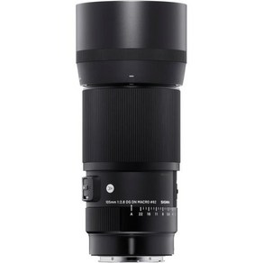 시그마 Sigma 105mm F2.8 DG DN 매크로 아트 (소니 Sony E-거치대), At lens_Single Item, 1개