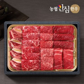 [농협안심한우] 1등급 한우 총1kg (등심+채끝+특수+불고기+국거리) 모둠채반, 1개