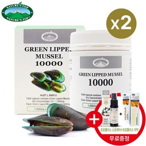 네이쳐스탑 호주 초록입홍합 10000mg 180캡슐 초록홍합 리프리놀, 2개, 180정