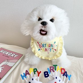 강아지 고양이 생일 파티 케이프 강아지빕 반려견 턱받이 생일케이프, JDF-04-벌스데이베이비턱받이-옐로우, S, 1개