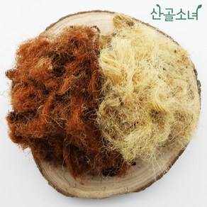 산골소녀 국내산 말린 옥수수수염, 100g, 1개