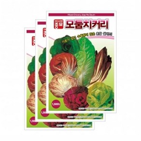 아시아종묘 씨앗 치커리 모둠치커리 1500립 3ea, 3개