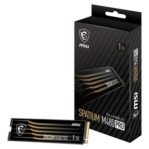 MSI SPATIUM M480 PRO M.2 NVMe (1TB), 선택1, 1TB