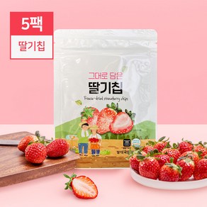 동결건조 생과일 그대로 담은 딸기칩(14g)