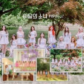 이달의소녀 여름 노래 앨범 플립댓 여름 스페셜 앨범 굿즈 LOONA Flip That Summe album 루나 퀸덤2 희진 현진 여진 비비 김립 진솔 최리 이브 츄 고원, 랜덤버전