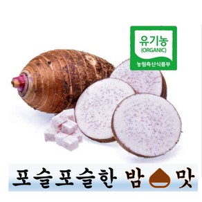 왕토란 1kg 유기농국산 타로 토란, 2개