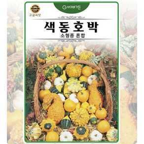 사이버가든 씨앗] 씨앗] 색동호박 소형종 혼합 10립, 1개