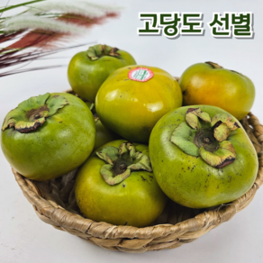 [2024년 햇수확] 고당도 아삭하고 달큰한 단감의 왕 태추단감1kg 2.5kg 5kg 배단감, 1개, 1kg(4-6과)