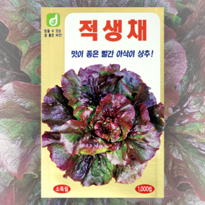 적생채 씨앗 1000립 한국대농종묘 적생채 종자 상추씨앗, 1개