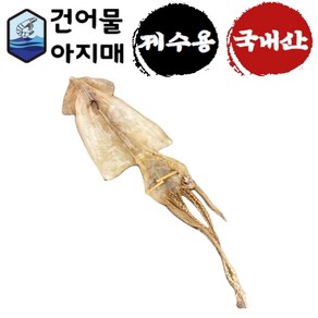 제수용건어물 마른가오리 대추 약과 깐밤 대구포 유과 마른 문어 곶감 오징어 황태포 건홍합 합자, 국산 마른오징어, 1개