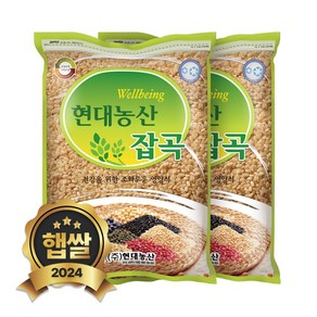 현대농산 국산 현미찹쌀 찰현미 4kg (2kgx2봉), 2개, 2kg