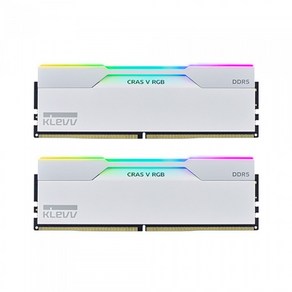 ESSENCORE KLEVV DDR5-6000 CL30 CRAS V RGB 화이트 패키지 서린 (64GB(32Gx2)), 2개