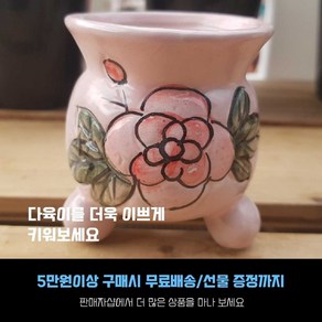 다육 다육화분 - 미니 4색 원형화분 4개세트 (화분사이즈-높이 7cm 입구-6.5cm), 4번- 핑크색, 1개