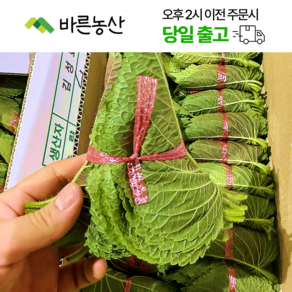 < 바른농산 > 국내산 깻잎 쌈채소 찹찹이깻잎