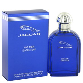 Jagua Evolution EDT Spay 100ml Men, 1개