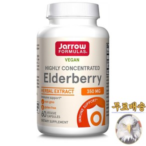 미국산 재로우포뮬러스 엘더베리 350mg 60베지캡슐 Jaow Fomulas Eldebey 선물증정, 1개, 60정