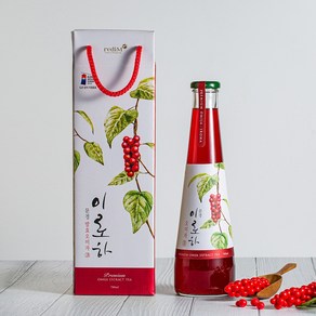 이로하 문경 프리미엄 생오미자청 700ml, 1개