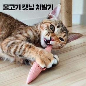 프리에이터 고양이 캣닢 치발기 장난감 터그놀이