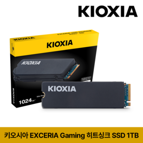 키오시아 EXCERIA 게이밍 히트싱크 Gen4 M.2 NVMe SSD, LSC11K, 1TB