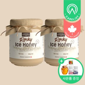 캐나다 Nothwest 1등급 록키 야생 자연산 100% 석청꿀 ICE HONEY, 2개, 500g