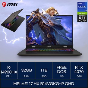 소드 17 HX B14VGKG-i9 QHD, Fee DOS, 32GB, 1TB, 그레이