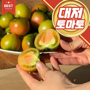 특가대란 못난이 대저토마토 짭짤달콤 당일수확 신선직송, 1개, 가정용)_혼합과 2.5KG (L~3S)