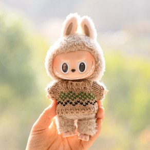 15cm 17cm 30cm 라부부 Labubu 인형옷 화이트 데이지 블루 스웨터 11종, I