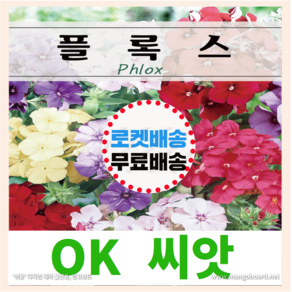 [OK씨앗] [플록스] 플록스씨앗 종자(오케이씨앗)