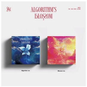 QWER 큐더블유이알 - 2nd Mini ALBUM [Algorithms Blossom] 랜덤버전