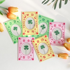 행운의 네잎클로버 생화 압착 코팅 부적 소원 문구 책갈피 6옵션 [Lucky Pressed Real Clover Bookmark Wish Charm 6 Options]